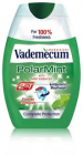 Vademecum 2v1 Polar Mint 75ml 