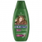 Schauma šampon  Volume 250 ml šampon zvětšující objem pro všechny typy vlasů 